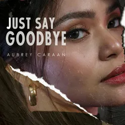 Just Say Goodbye