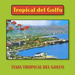 Tema Tropical Del Golfo