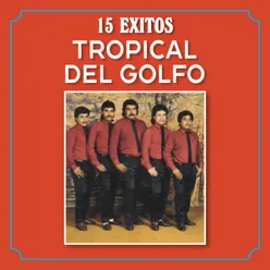 Tema Tropical Del Golfo