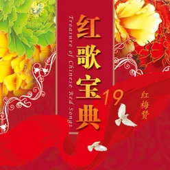 红歌宝典(19)—红梅赞