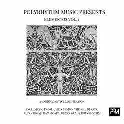PolyRhythm Music Presents Elementos, Vol. 1