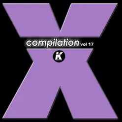 X COMPILATION, Vol. 17