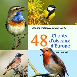 48 chants d'oiseaux d'Europe