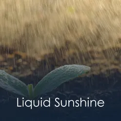 Liquid Sunshine