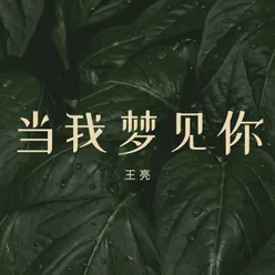 一棵树