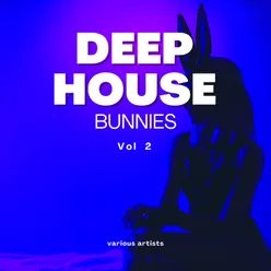 Deep-House Bunnies, Vol. 2