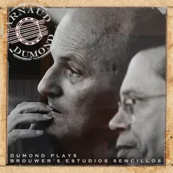 Dumond Plays Brouwer's Estudios Sencillos