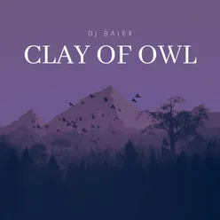 Clay Of Owl