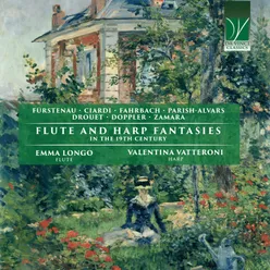Fantasia No. 1 for Flute and Harp, Op. 35