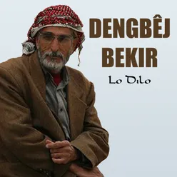 Lo Dılo