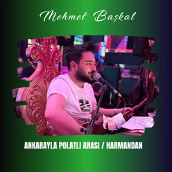 Ankarayla Polatlı Arası / Harmandan