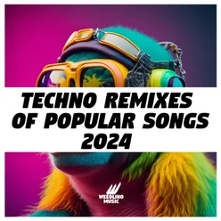 Techno Remixes of Popular Songs 2024