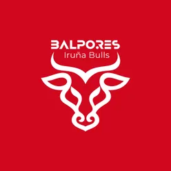 Iruña Bulls