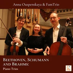 Piano Trio, Op. 97: No. 1 in B-Flat Major, Allegro Moderato