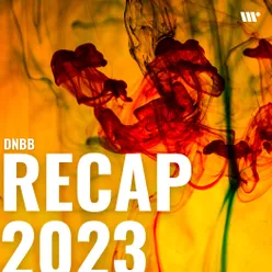 DNBB Recap 2023