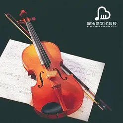 古典小提琴独奏曲 古典音乐纯音乐 世界古典名曲 小提琴独奏曲 经典小提琴练习曲