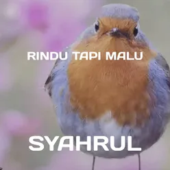 Rindu Tapi Malu