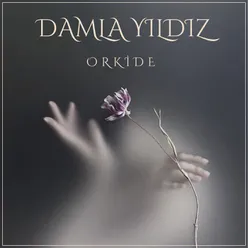 Orkide