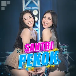 Santri Pekok