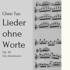 Lieder ohne Worte, Op. 30: V. Andante grazioso