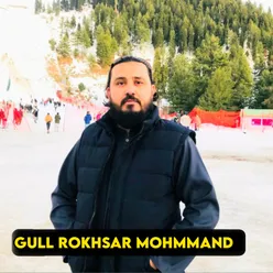 Gull Rokhsar Mohmmand