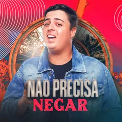 Não Precisa Negar