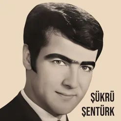 Seviyorsan Zulum Etme