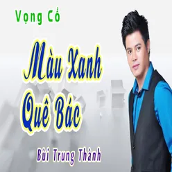 Mưa Rừng