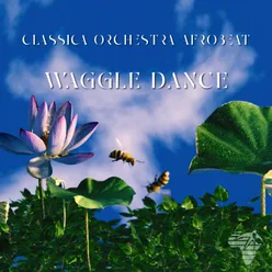 Waggle dance