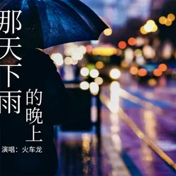 那天下雨的晚上