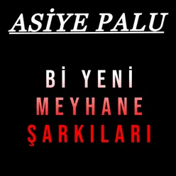 Bi Yeni Meyhane Şarkıları