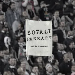 Sopalı Pankart