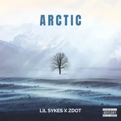 Arctic