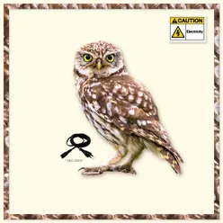 Rechargable Owl