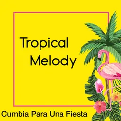 Cumbia Para Una Fiesta