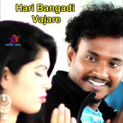 DJ SONG HARI BANGADI VAJARE