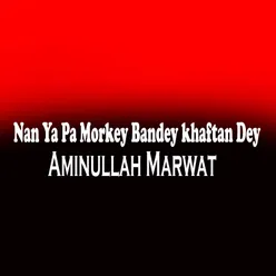 Nan Ya Pa Morkey Bandey khaftan Dey