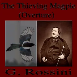 The Thieving Magpie