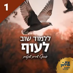 זו דרכו של הסתיו (באפריל או במאי)