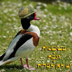 יש לאן לברוח