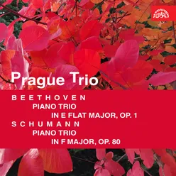 Piano Trio No. 1 in E-Flat Major, Op. 1: IV. Finale. Presto