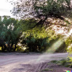 HAY ALGO NUEVO BAJO EL SOL