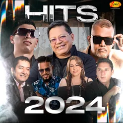 Hits 2024