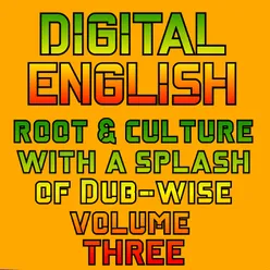 ROOTS AND CULTURE WITH A SPLASH OF DUB WISE, Vol. 3