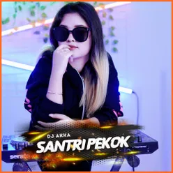 Santri Pekok