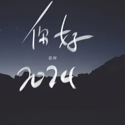 你好2024