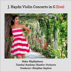 Violin Concerto in G Major, Hob. VIIa:4: II. Adagio