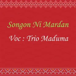 Songon Ni Mardan