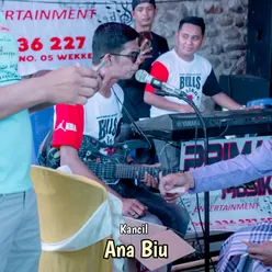 Ana Biu