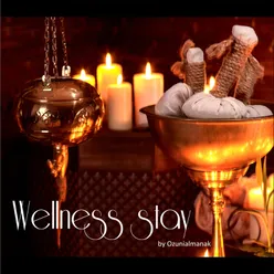 Wellness stay